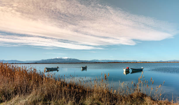 Fishing boats on the Pond of Canet Saint Nazaire and the mount Canigou in Canet en Roussillon stock photo