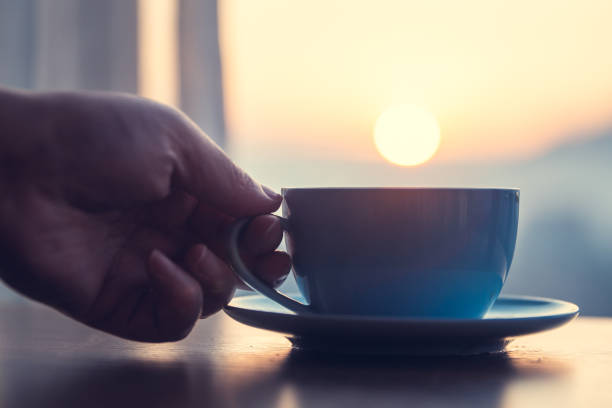 istock Hand holding cup of drink with sunlight 1203186556