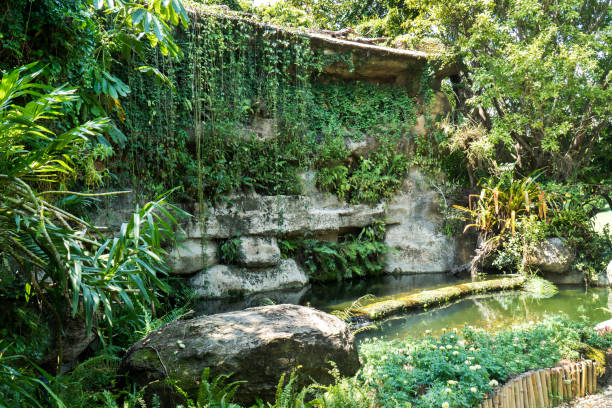 istock Abandoned artificial waterfall in public park background. Deserted stone waterfall in the garden with trees plant 1203188020