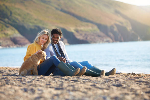 pareja amorosa sentada en la arena mientras caminan con perro a lo largo de la costa en vacaciones de invierno en la playa - pareja de mediana edad fotografías e imágenes de stock