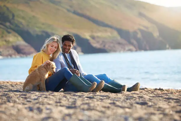 Loving Couple Sitting On Sand As They Walk With Dog Along Shoreline On Winter Beach Vacation