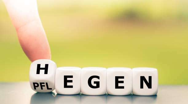 istock Dice form the German saying 