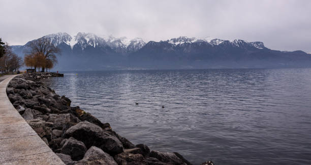 istock Leman Lake in Vevey 1203191429