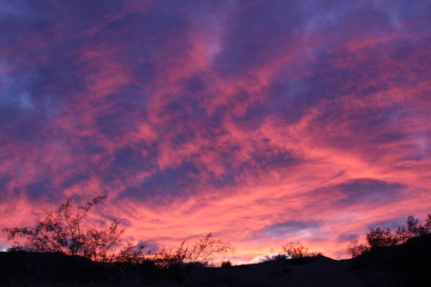 istock MIRROR OF THE MOJAVE - 29 PALMS - 011620 B 1203191475