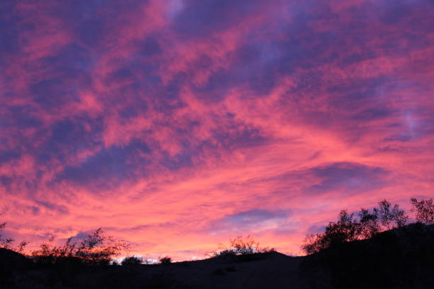 istock MIRROR OF THE MOJAVE - 29 PALMS - 011620 D 1203191481