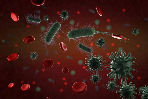 istock 3d illustration, close up of microscopic Virus, Bacteria and Red blood cells 1203191821