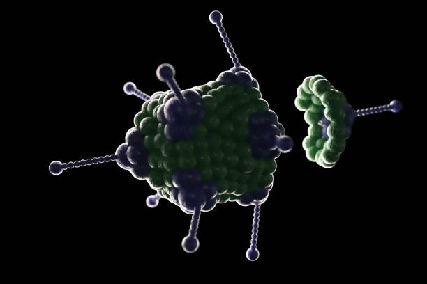 istock 3d illustration, close up of microscope Adoeno Virus 1203191958