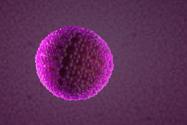 istock 3d illustration, close up of microscope Papilloma Virus 1203192103