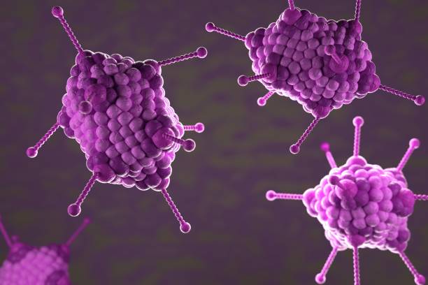 istock 3d illustration, close up of microscope Adoeno Virus 1203192199
