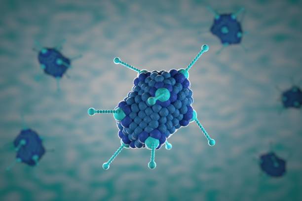 istock 3d illustration, close up of microscope Adoeno Virus on a blue background 1203192216