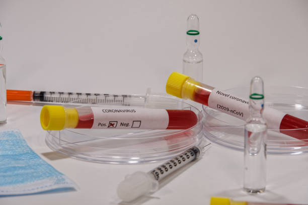 istock Clinical tests with laboratory testing medical equipment, including syringes & Wuhan virus positive samples on vacutainer blood tubes. 1203193385