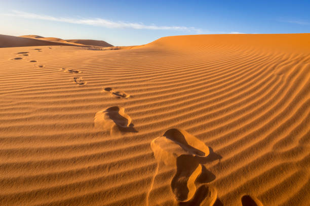 istock Footprints in the sand, Sahara, Merzouga, Morocco 1203193489