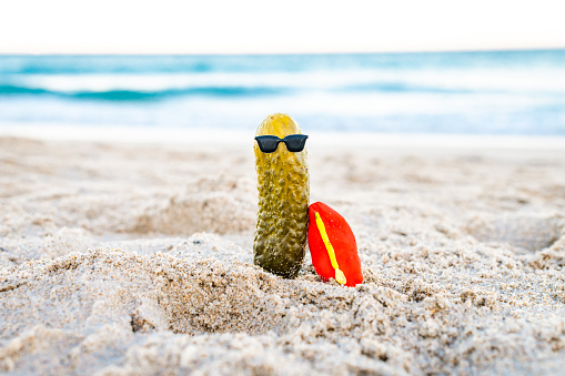 Funny pickle at the beach wearing sunglasses and leaning on a surfboard, silly and quirky summer fun