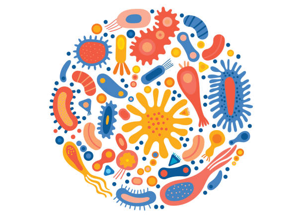 stockillustraties, clipart, cartoons en iconen met bacteriële set in een cirkel met verschillende soorten micro-organismen. abstracte verzameling van vormen microscopische virussen, bacteriën, microben, protisten. gekleurde vlakke vectorillustratie die op achtergrond wordt geïsoleerd - bacterial mat