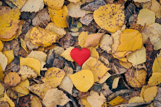 istock Unrequited, one-sided love or loneliness concept. 1203200238