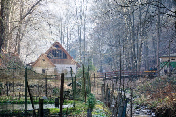 Romantic forest house in Saxon Switzerland (Germany) on a sunny morning in spring