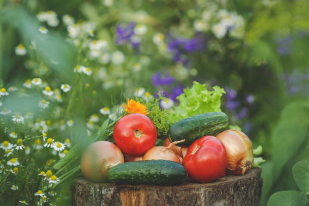 vegetables are on a stump in a garden