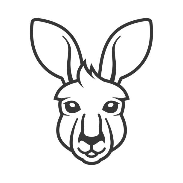 Kangaroo Face Illustrations, Royalty-Free Vector Graphics & Clip Art -  iStock