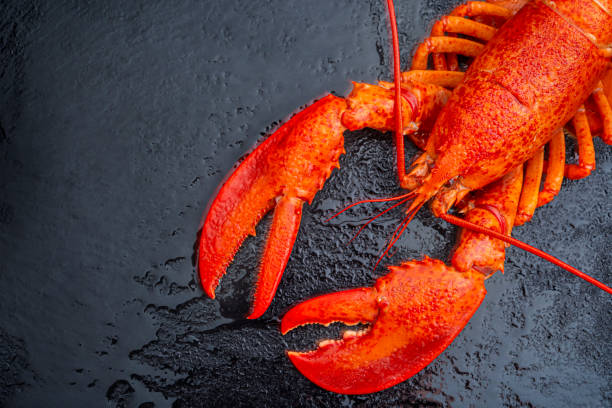 istock Steamed lobster seafood on black background 1203206268