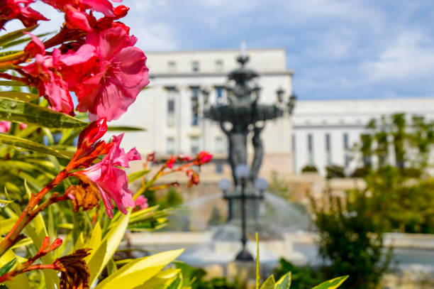 istock Flowers with bokeh fountain 1203206880