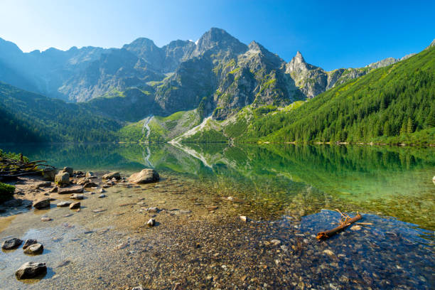 에메랄드 산악 호수 모르스키오코, 폴란드 타트라 산의 바다 눈 - tatra mountains zakopane lake mountain 뉴스 사진 이미지