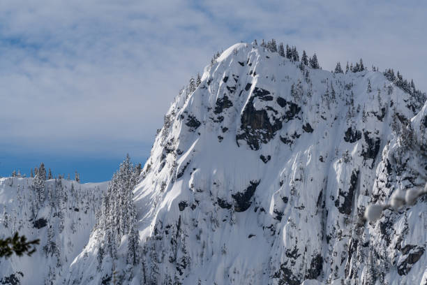Beautiful Day With Snow In Cascade Mountains, Mount Rainier National Park