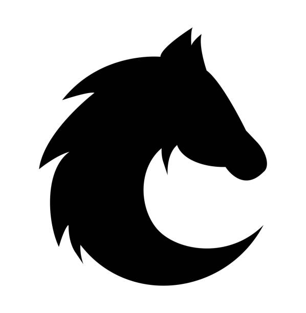 Vector Horse with fur silhouette. Vector Horse with fur silhouette. A beautiful profile of the horse could be used as logo. beautiful horse stock illustrations