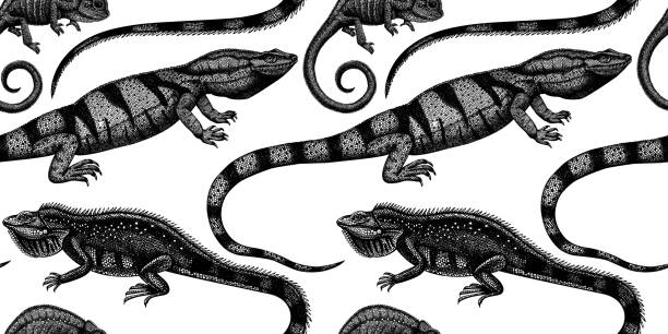 Reptiles seamless pattern. Hand sketched reptiles seamless pattern. Exotic animals backdrop. Vintage realistic lizards - chameleon, iguana, Komodo dragon - background.  Perfect for banner, wrapping paper, wallpaper, fabric, packaging. komodo dragon drawing stock illustrations
