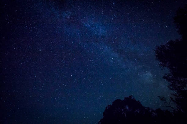 istock Milky way and tree crowns on dark sky background. 1203212843