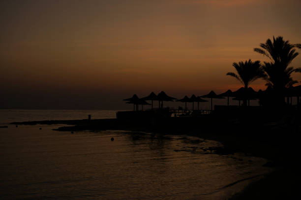 landscape dawn sky palms and hotel in Egypt, marsa alam egypt