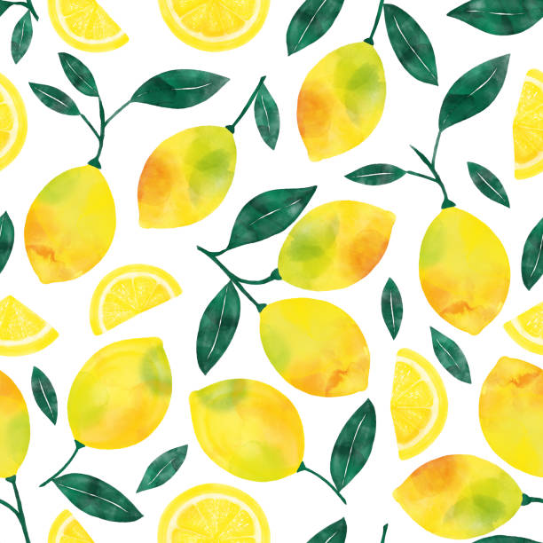 ilustraciones, imágenes clip art, dibujos animados e iconos de stock de acuarela pintado a mano limones y rodajas de limón patrón sin costura. primavera, verano concepto de fondo. - lemon backgrounds fruit textured