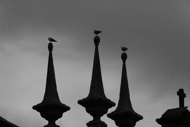 Seagulls perched on ornamental stone details of building