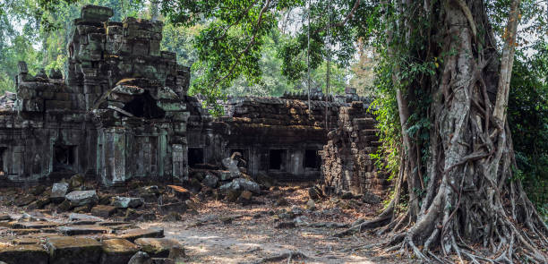 istock Angkor wat jungle in Siem Reap Cambodia. 1203220598