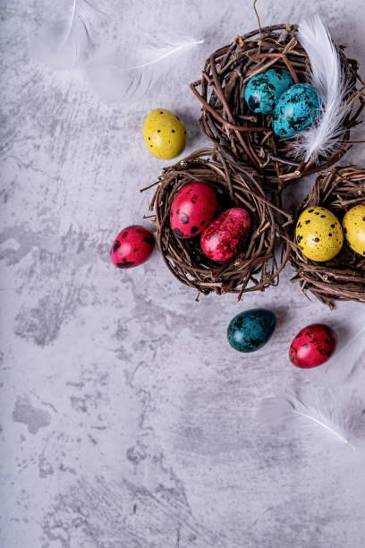 istock Colored Easter quail eggs with feathers in a nest on gray marble background top view 1203221890