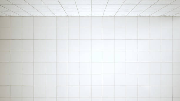 istock Bathroom in need of renovation with a view from above - 3D rendering 1203222927
