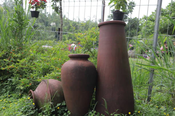 istock old jug in a green park 1203226588