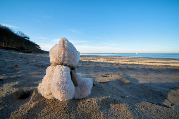 istock Sad teddy bear with wanderlust on the beach 1203227622
