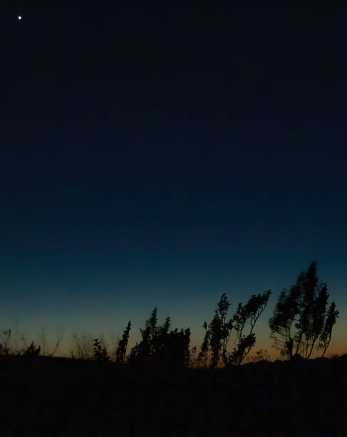 istock Windy Winter Twilight in Big Bend National Park 1203227700