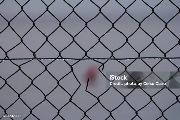 Wire Fence Stock Photo - Download Image Now - Abstract, Backgrounds, Bayona - Vigo