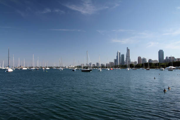 istock Chicago skyscrapers from the lake 1203233822
