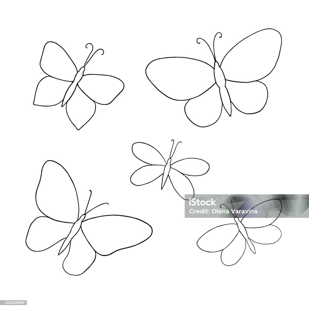 A Hand Drawn Butterflies Set Simple Vector Outline Illustration ...