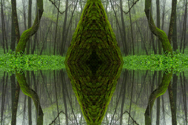 istock Psychedelic Rain Forest, Symmetrical Kaleidoscope Abstract Background. 1203239327