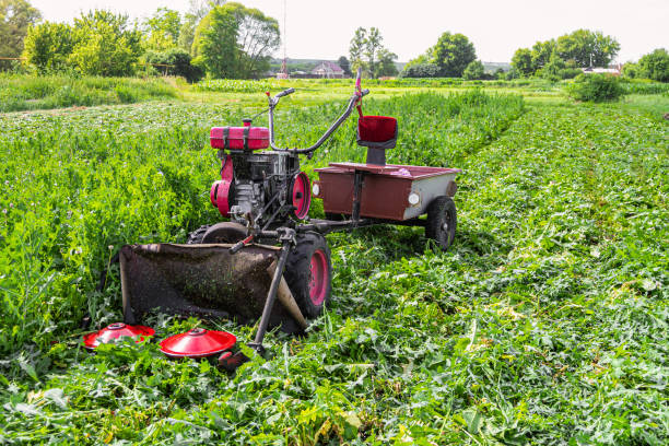 istock Walk-behind tractor with drives disc grass cutter. Weeds mowing. 1203241005
