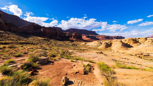 istock Glen Canyon National Recreation Area, Utah 1203244688