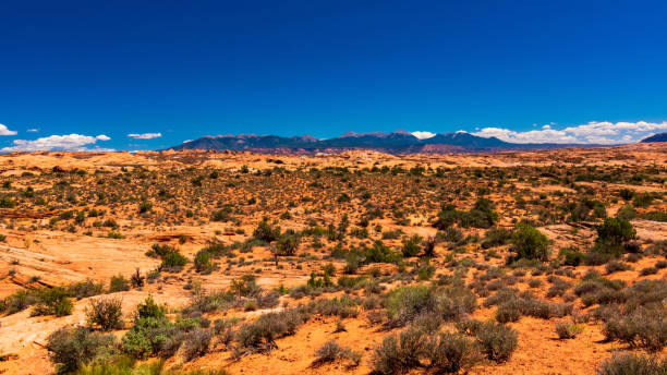 istock Arches National Park, Moab, Utah 1203246356