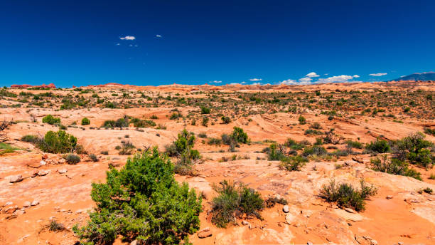 istock Arches National Park, Moab, Utah 1203246360