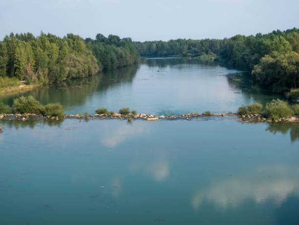 drava river, hydroelectric channel, varazdin, croatie - powerful owl photos et images de collection