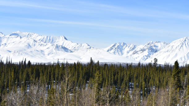 istock Alaska Highway Road Trip to Alaska in April 1203252192