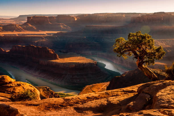 コロラド川とキャニオンランズの上のデッドホースポイント日没時 – ユタ州, アメリカ合衆国 - plant sunset utah canyon ストックフォトと画像