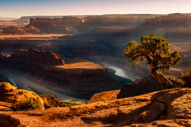 Dead Horse Point over Colorado River and Canyonlands at sunset – Utah, USA Dead Horse Point over Colorado River and Canyonlands at sunset – Utah, USA colorado river photos stock pictures, royalty-free photos & images